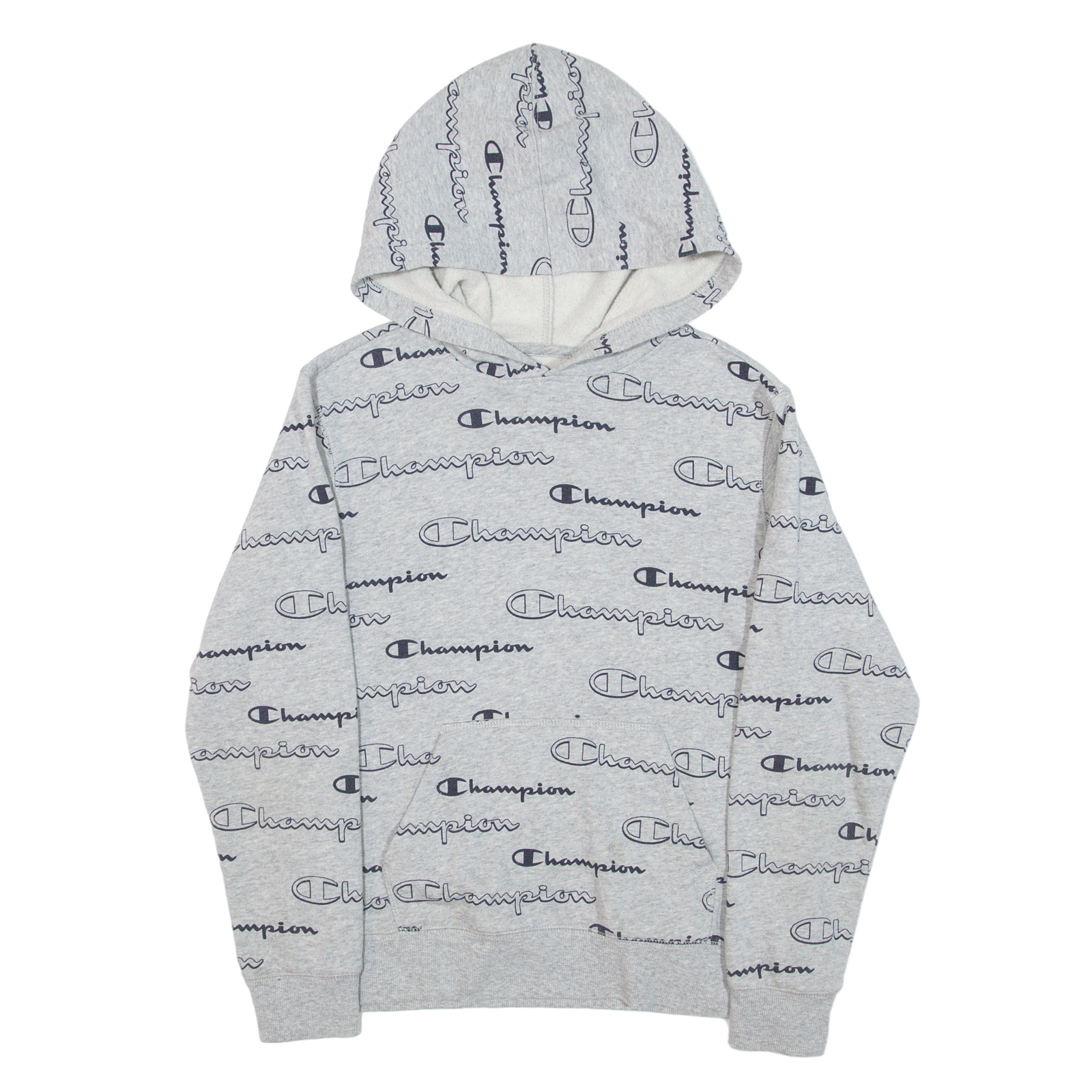 Champion written all over hot sale hoodie